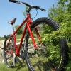 red-richard.jpg