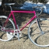 pinkfixie1.jpg