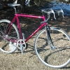 pinkfixie2.jpg
