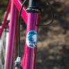 pinkfixie3.jpg