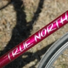 pinkfixie5.jpg