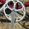 pinkfixie7.jpg