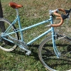 mixte1.jpg