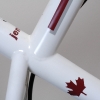 Custom Paint