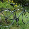 elises-flatbar-road-bike-1.jpg