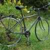 elises-flatbar-road-bike.jpg