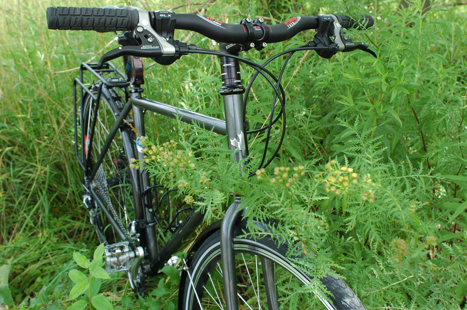 jerry2.jpg jerry2.jpg